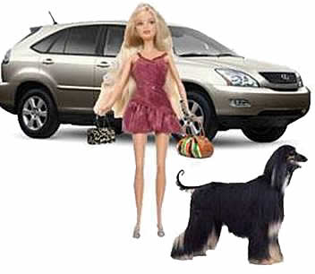 OSTERVILLE BARBIE