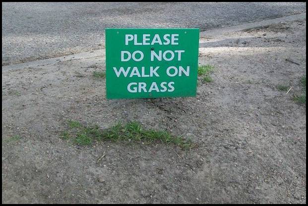 Crazy Signs