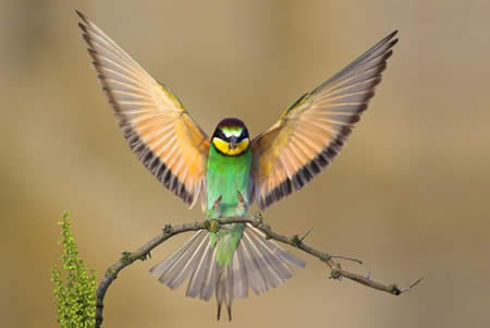 awesome photo