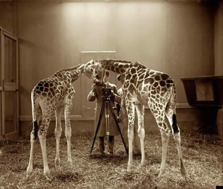 awesome photo
