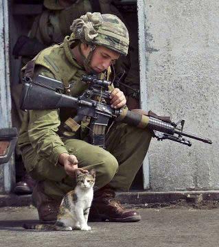 Pray