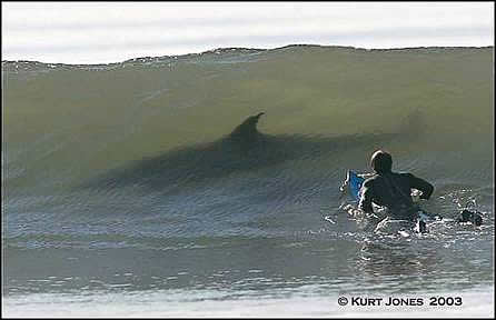 Not a Good Day For Surfing.
