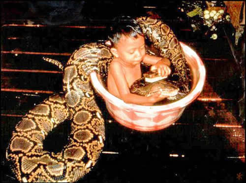 Only In Thailand