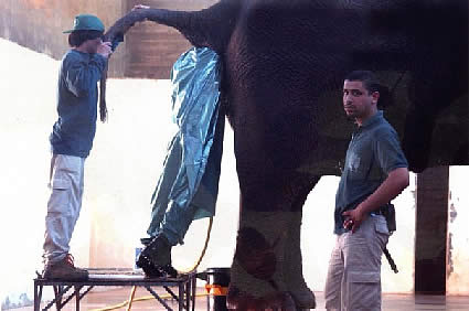 crappy job