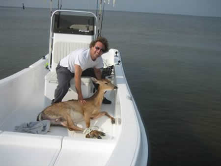 offshore deer