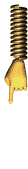 scroll down