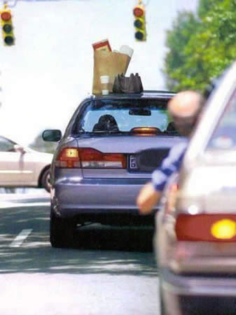 Feeling Stupid?