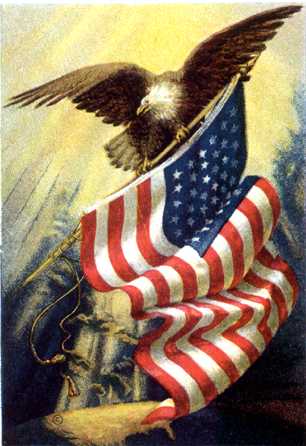 Happy 4th of 