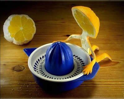 Food Sculptures
