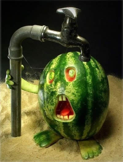 Food Sculptures