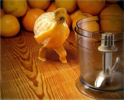 Food Sculptures