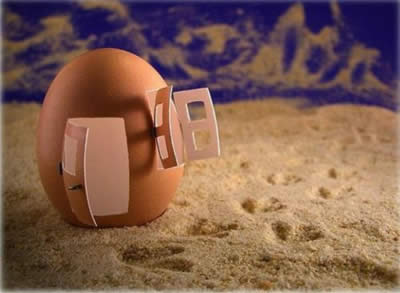 Food Sculptures