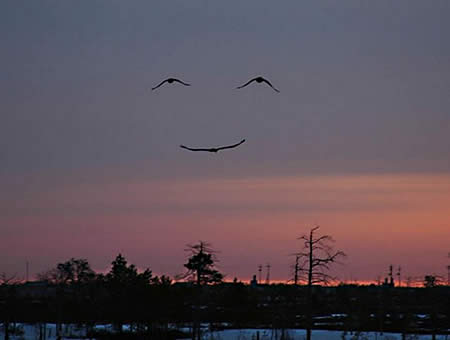God Smiles