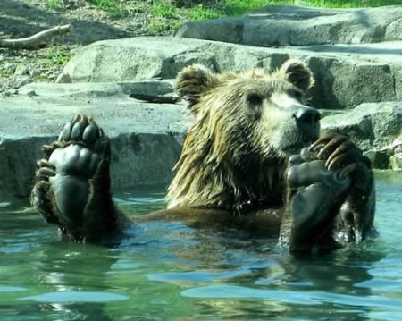 great shot!