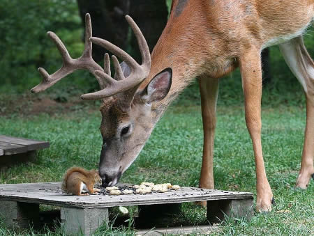 great shot!