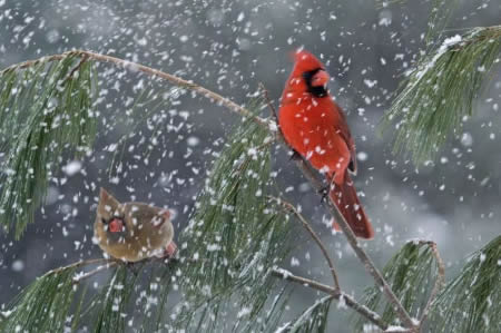 great shot!