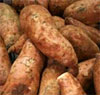 sweet potatos