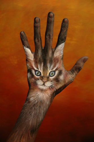 Jason Killam