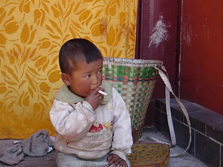 China's Little Johnny