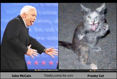 lookalikes