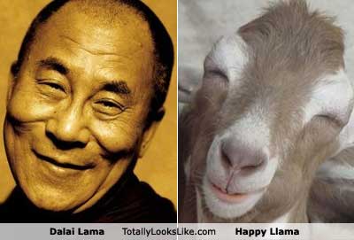 lookalikes