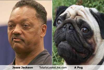 lookalikes