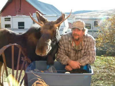 moosemas