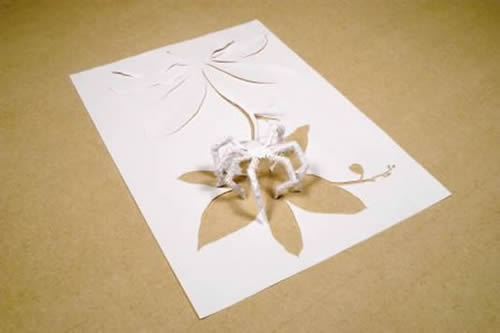 paper