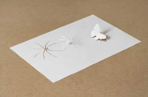paper