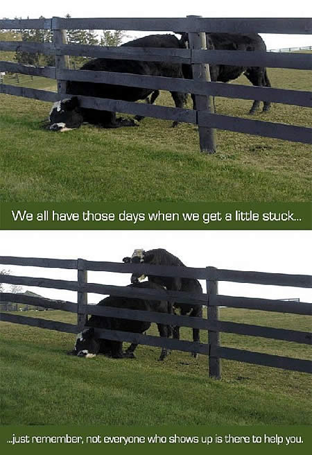 stuck